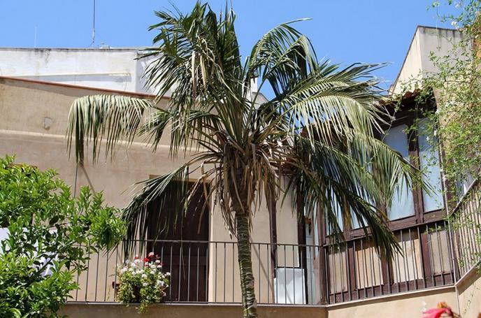 Antica Corte Delle Ninfee, Historical Private Villa Trapani Exterior photo